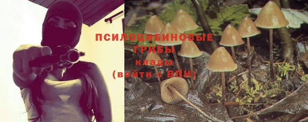 mix Каменка