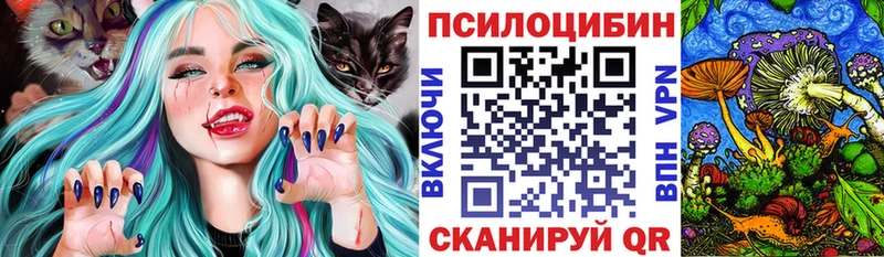 Купить где  Ветлуга  Галлюциногенные грибы прущие грибы 